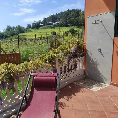 Rosa Dei Venti Porto Azzurro