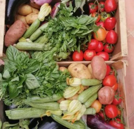 Appartamento Rosa Dei Venti