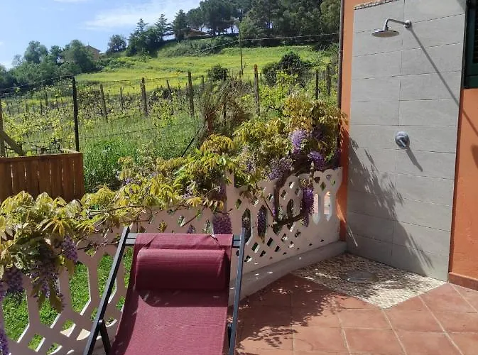 Rosa Dei Venti Porto Azzurro